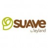 Suave by leyland